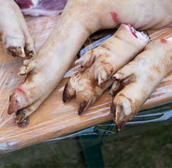 rotate-img4